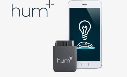 Setup Hum+