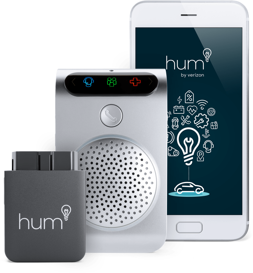Hum<sup>×</sup>